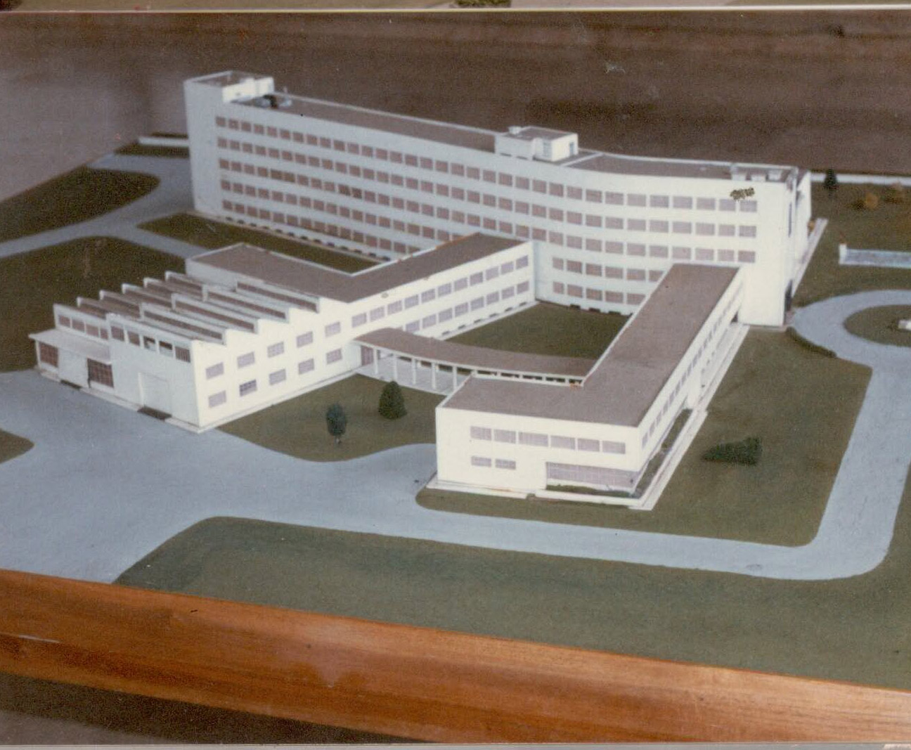 Miniatura